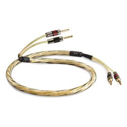 Golden Anniversary XT Speaker Cable (Per-Metre) | QED Cables