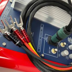 Epic High-Level Subwoofer Cable | The Chord Company