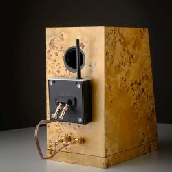 Wireless Box E, Plug-In Streaming Amplifier (Silver) | Project Audio Systems