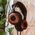 Statement Series GS3000X Dynamic Over-Ear Headphones | Grado Labs