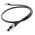 Carbon RJ/E CAT7 Ethernet Cable (Per-Metre) | AudioQuest