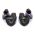 Clara Hybrid Professional IEM Earphones | Campfire Audio
