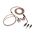 Grand Luna Planar Magnetic Hybrid IEM Earphones | Campfire Audio