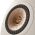 LS50 Meta Compact Loudspeakers (Sand Shell) | KEF Audio