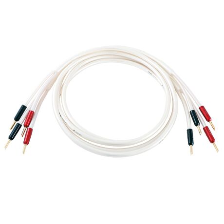 Equator Achromatic 3.5 Speaker Cable | Atlas Cables