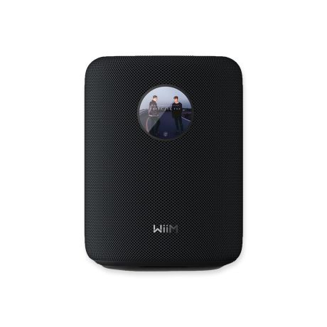 WiiM Sound Touchscreen Smart Speaker (Black) | WiiM