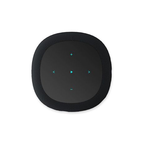WiiM Sound Touchscreen Smart Speaker (Black) | WiiM